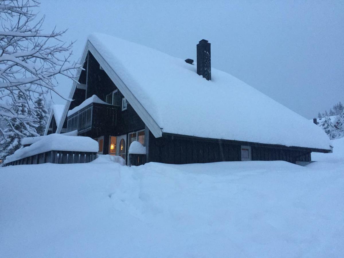Trysil Alpin 16A Top Location Extérieur photo
